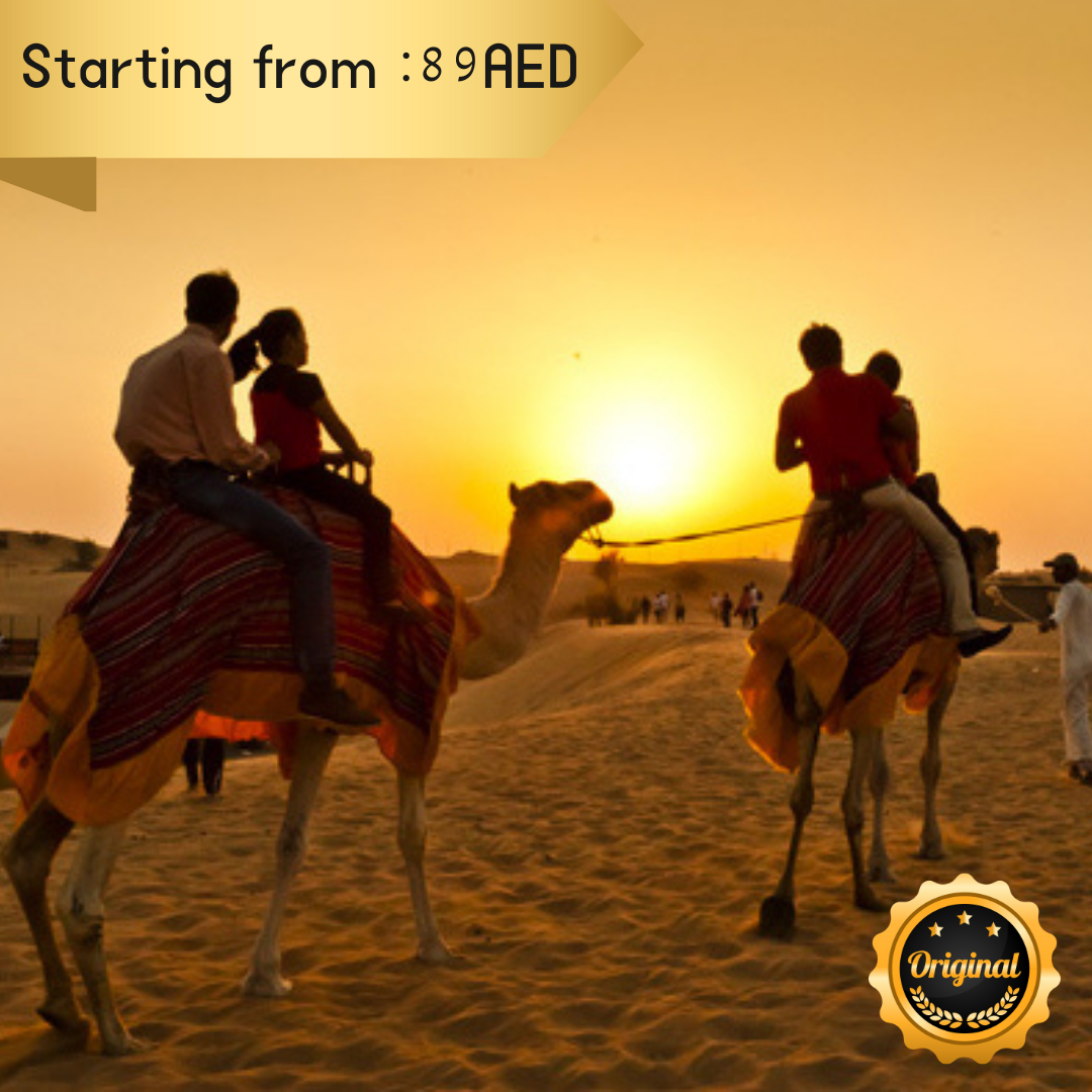 Evening Desert Safari